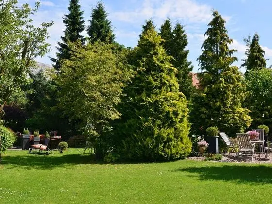 Tasteful Ground Floor Apartment with Terrace & Garden near Brilon - Dış Mekan