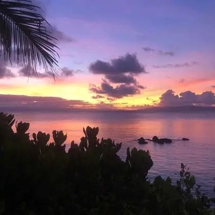 Taveuni Palms Resort - All Inclusive