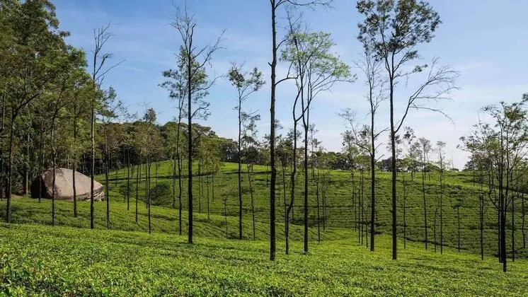 Taylors Hill Boutique Hotel