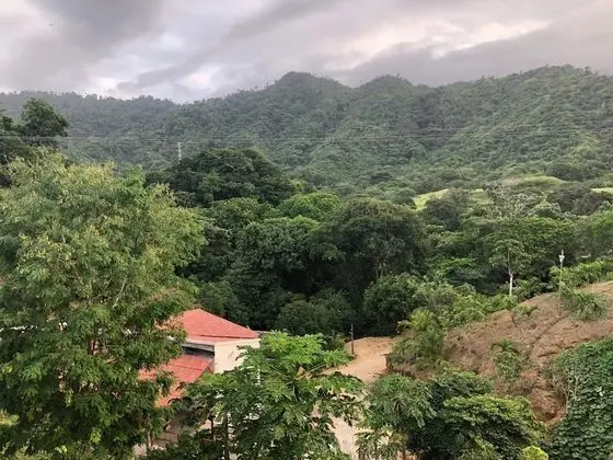 Tayrona Angel Lodge - Dış Mekan