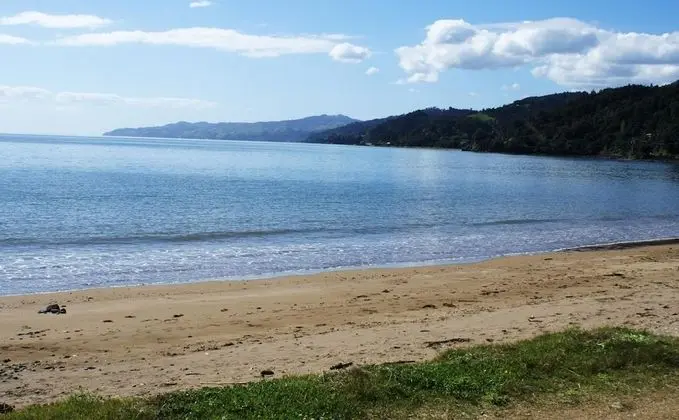 Te Puru Beach Lodge - Plaj