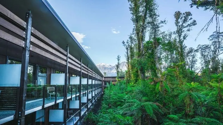 Te Waonui Forest Retreat - Dış Mekan