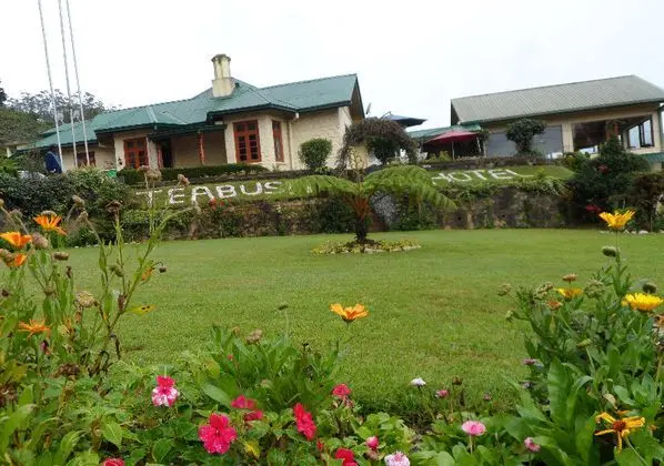 Tea Bush Hotel