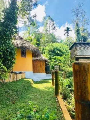 Tea Cabins