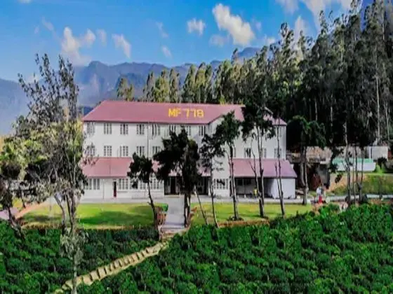 Tea & Experience Factory