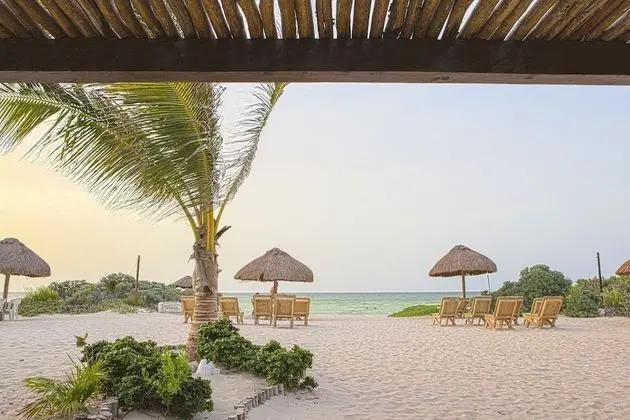 Tecnohotel San Benito Beach