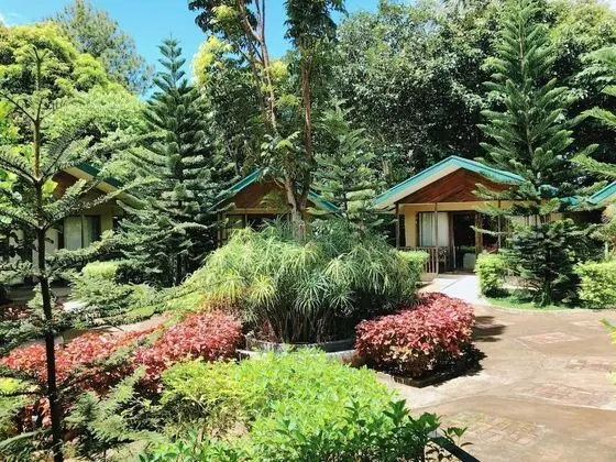 Ted's Bed and Breakfast - Dış Mekan