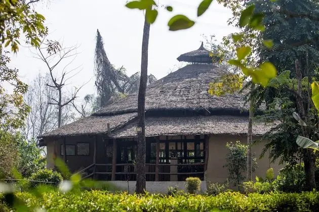 Temple Tiger Green Jungle Resort - Dış Mekan