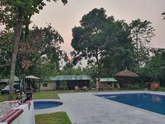 Temple Tiger Green Jungle Resort - Havuz