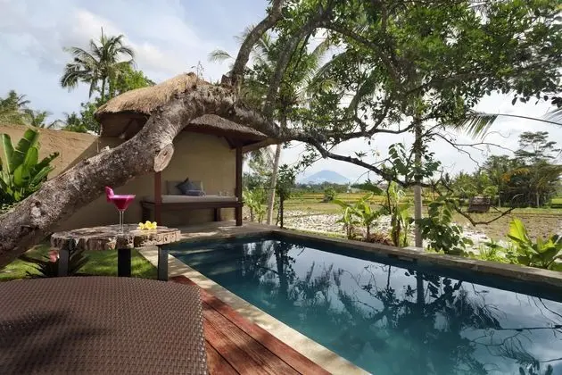 TEMUKU VILLAS UBUD - Dış Mekan