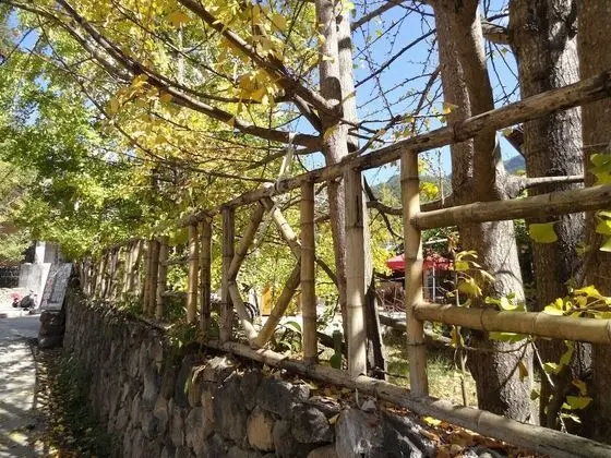 Tengchong Ginkgo Village Bencai Hotel - Öne Çıkan Resim
