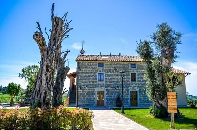 Tenuta Borgo Santa Cecilia