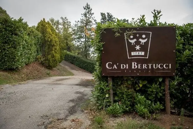 Tenuta Cà di Bertucci