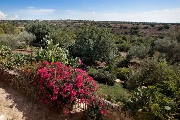 Tenuta Cammarana