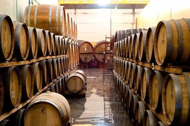Tenuta Cappallotto - Dış Mekan