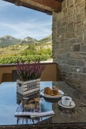 Tenuta D'Amore - 1