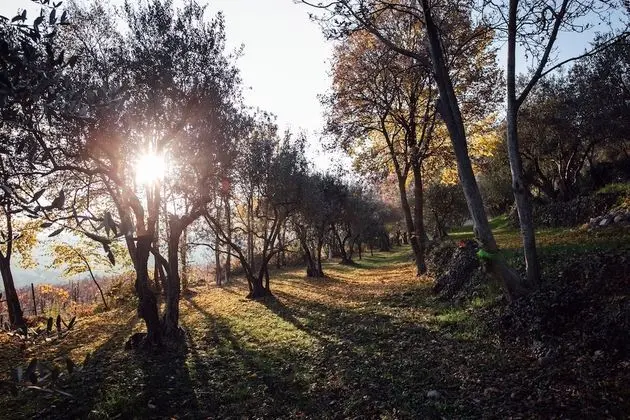 Tenuta Delo Relais - Dış Mekan