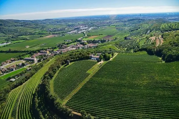 Tenuta Delo Relais - 1