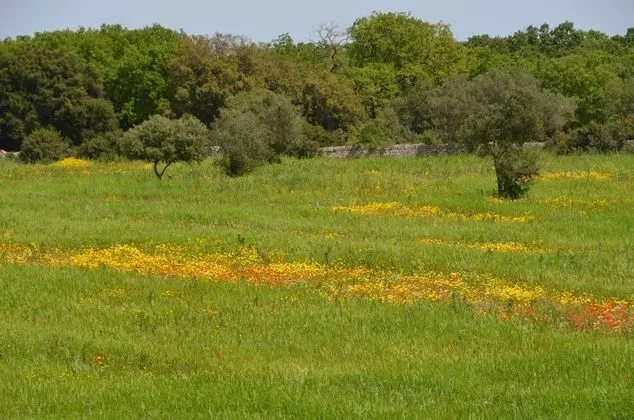 Tenuta Deserto - Dış Mekan