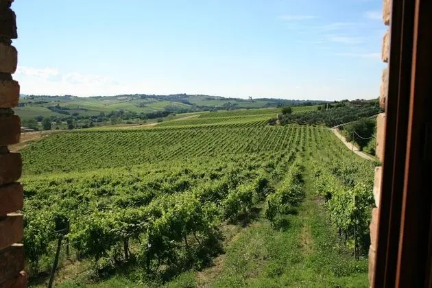 Tenuta di Monaciano - Dış Mekan