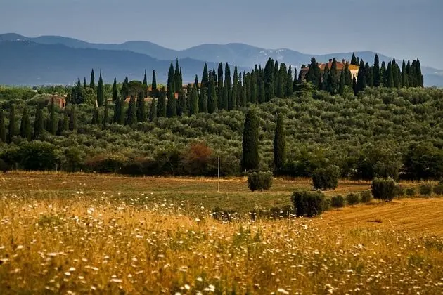 Tenuta di Poggio Cavallo