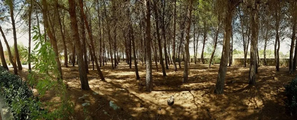 Tenuta Doxi - Dış Mekan