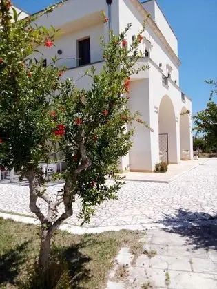 Tenuta Gli Agrumi del Salento - Öne Çıkan Resim