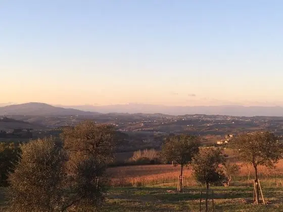 Tenuta Il Corno - Öne Çıkan Resim