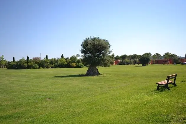 Tenuta la Baronessa - Dış Mekan