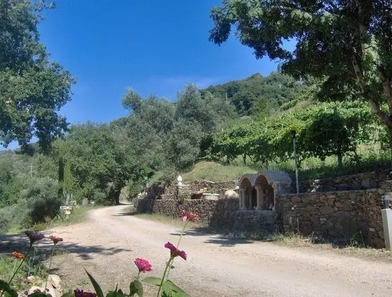 Tenuta Mauri - Agriturismo Vota - Dış Mekan