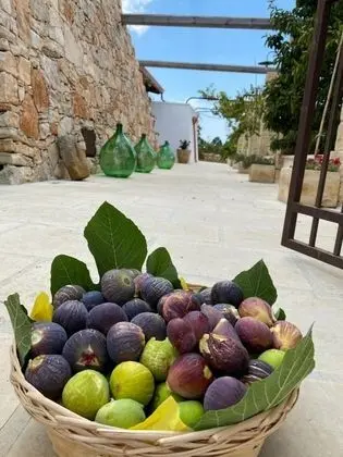 Tenuta Palmira - Dış Mekan