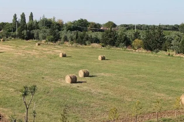 Tenuta Rinella - Dış Mekan