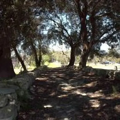 Tenuta Torre Pinta - Dış Mekan