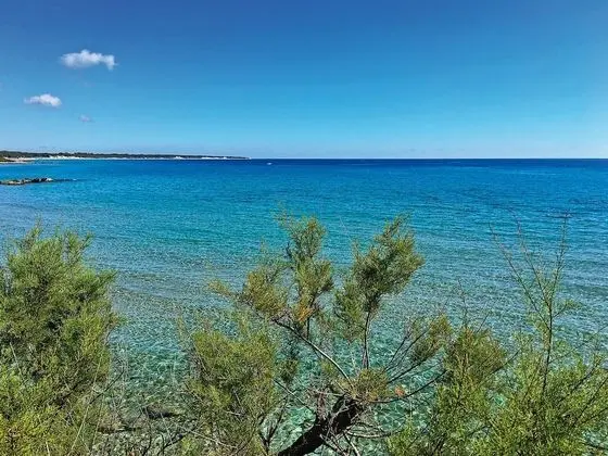 Tenuta Vigna Corallo - Plaj