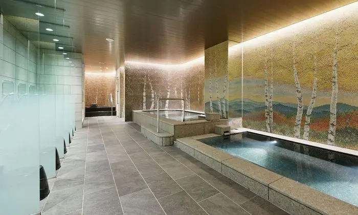 Tenza Hotel & SKYSPA at Sapporo Central - Havuz