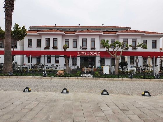 Teos Lodge Pansiyon & RestaurantFotoğrafı