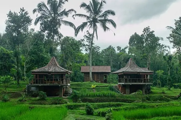 Tepi Sawah Lodge - Öne Çıkan Resim