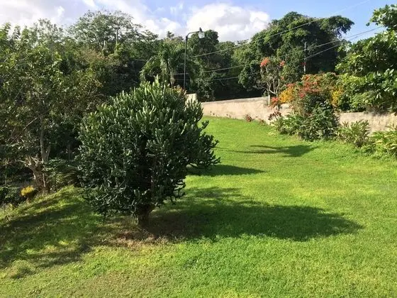 Teresinajamaica - Dış Mekan