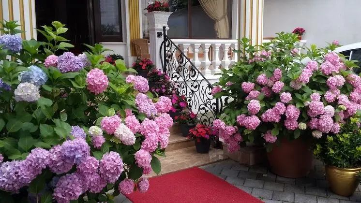 Termal Elit Hotel - Dış Mekan