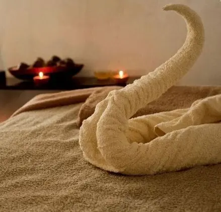 Hotel Terme Elisabetta - Spa