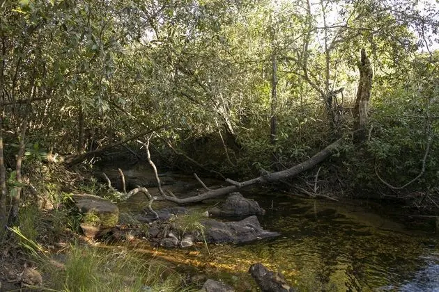 Terra Coral - Chapada dos Veadeiros - Dış Mekan