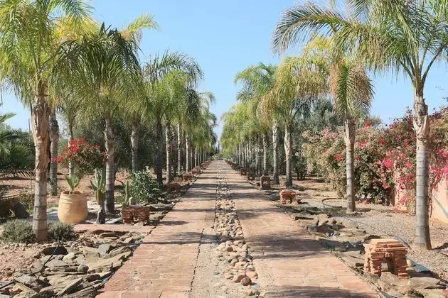 Terra Mia Marrakech - Riad - Dış Mekan