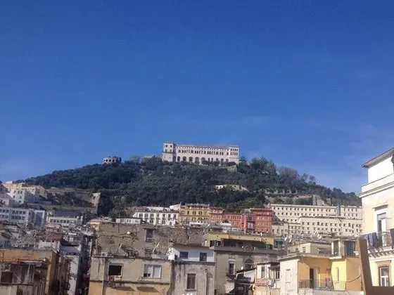 Terrazza Partenopea - Genel