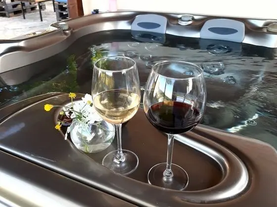 Tesla's Gastro House Plitvice - Havuz