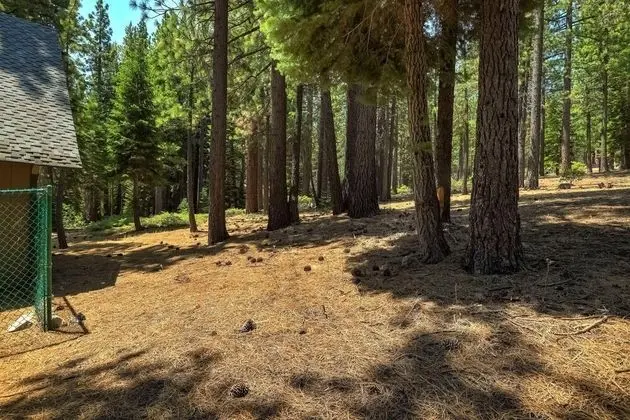 Tessler Trails - Dış Mekan