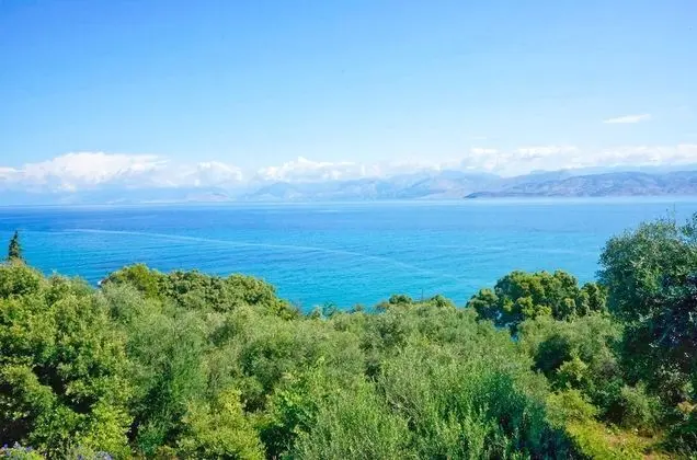 Thalia Estate