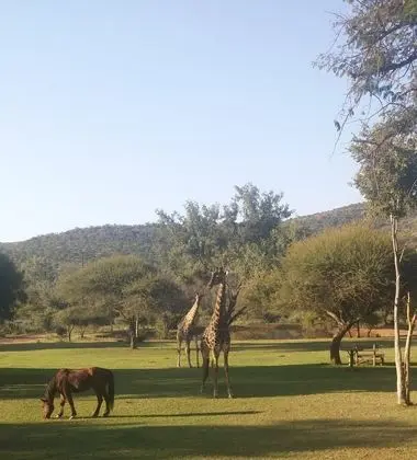 Thandile Country Lodge - Dış Mekan