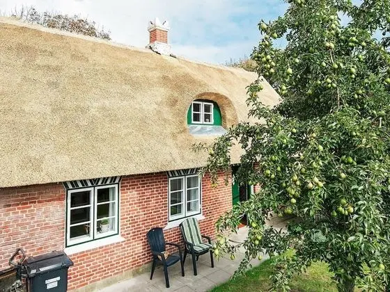 Thatched-roof Holiday Home in Jutland With Terrace