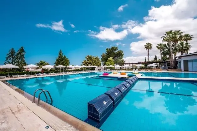 The Olive Tree Hotel - Havuz