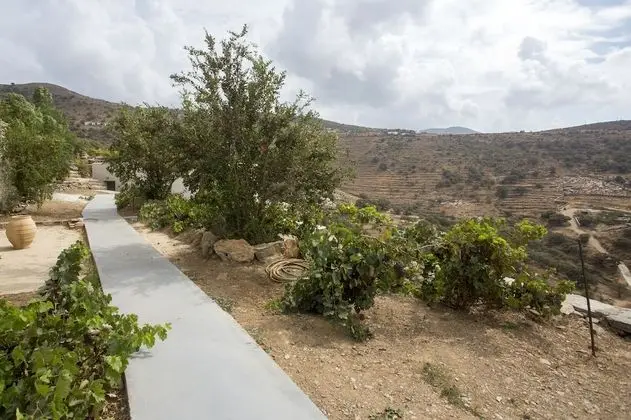 Villa Thea - Dış Mekan